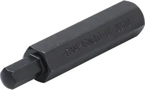 Campagnolo Componentry Tool for Ultra-Torque Crankset Fixing Screw, UT-BB110, Black