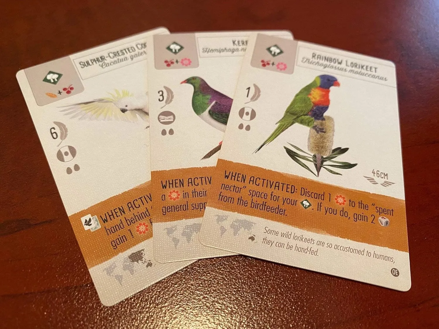 Stonemaier Games: Wingspan Oceania Expansion | Add to Wingspan (Base Game) | includes New Player Mats, Food, and Egg Color | 95 Unique New Birds | Cooperative Mode | 1-5 Players, 70 Mins, Ages 14 