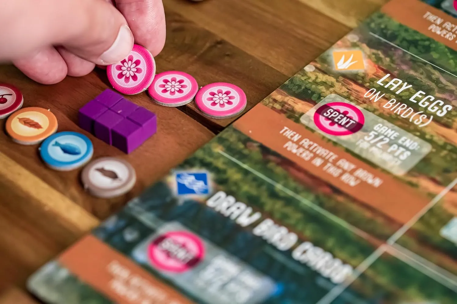 Stonemaier Games: Wingspan Oceania Expansion | Add to Wingspan (Base Game) | includes New Player Mats, Food, and Egg Color | 95 Unique New Birds | Cooperative Mode | 1-5 Players, 70 Mins, Ages 14 