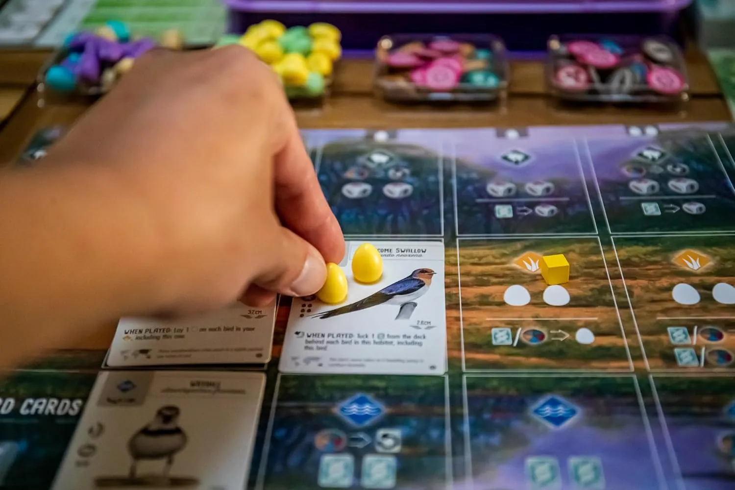 Stonemaier Games: Wingspan Oceania Expansion | Add to Wingspan (Base Game) | includes New Player Mats, Food, and Egg Color | 95 Unique New Birds | Cooperative Mode | 1-5 Players, 70 Mins, Ages 14 